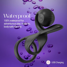 Load image into Gallery viewer, Svibe Snail Jovie

